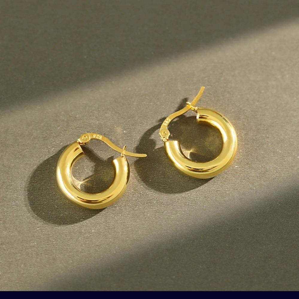 sterling silver earrings.